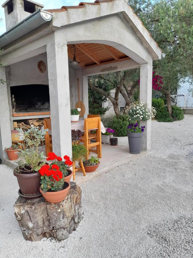 Apartmani Sara Bibinje Exterior foto