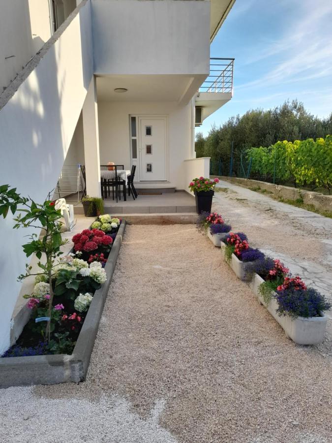Apartmani Sara Bibinje Exterior foto